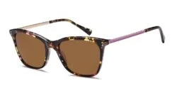 Brooklyn Sun BSUN2004