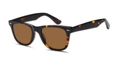 Brooklyn Sun BSUN2007