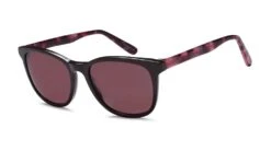 Brooklyn Sun BSUN2010