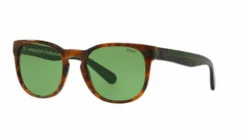 Polo Ralph Lauren PH4099 Sunglasses