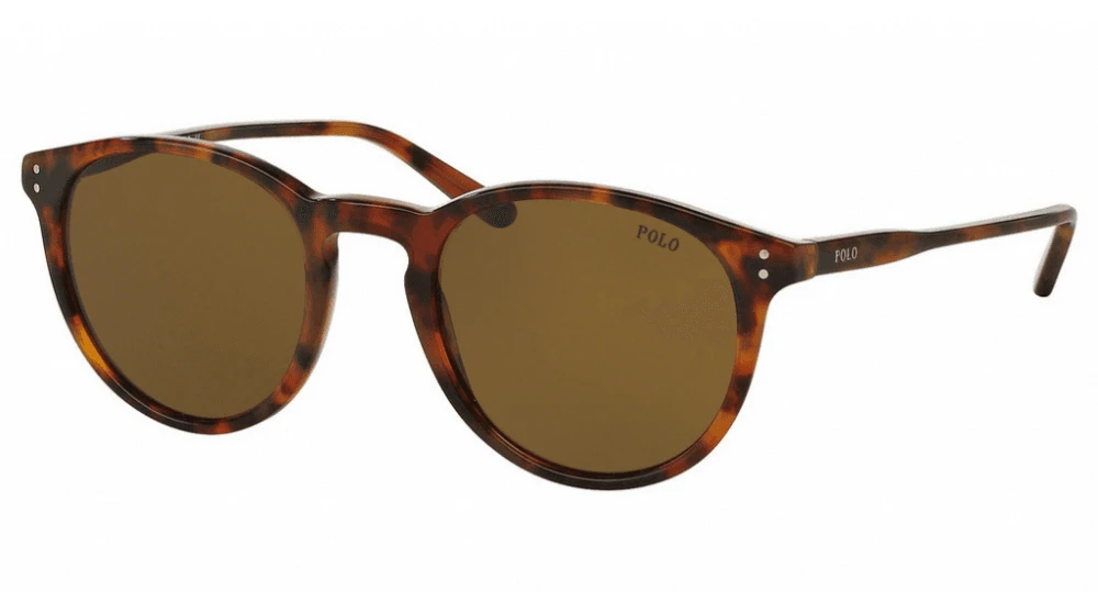 Polo Ralph Lauren PH4110 Sunglasses 7 Polo Ralph Lauren PH4110 Sunglasses - Image 5