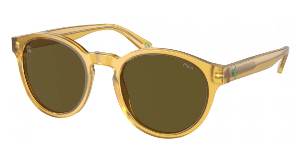 Polo Ralph Lauren PH4192 Sunglasses 9 Polo Ralph Lauren PH4192 Sunglasses - Image 7