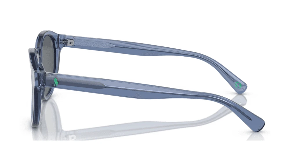 Polo Ralph Lauren PH4192 Sunglasses 4 Polo Ralph Lauren PH4192 Sunglasses - Image 2